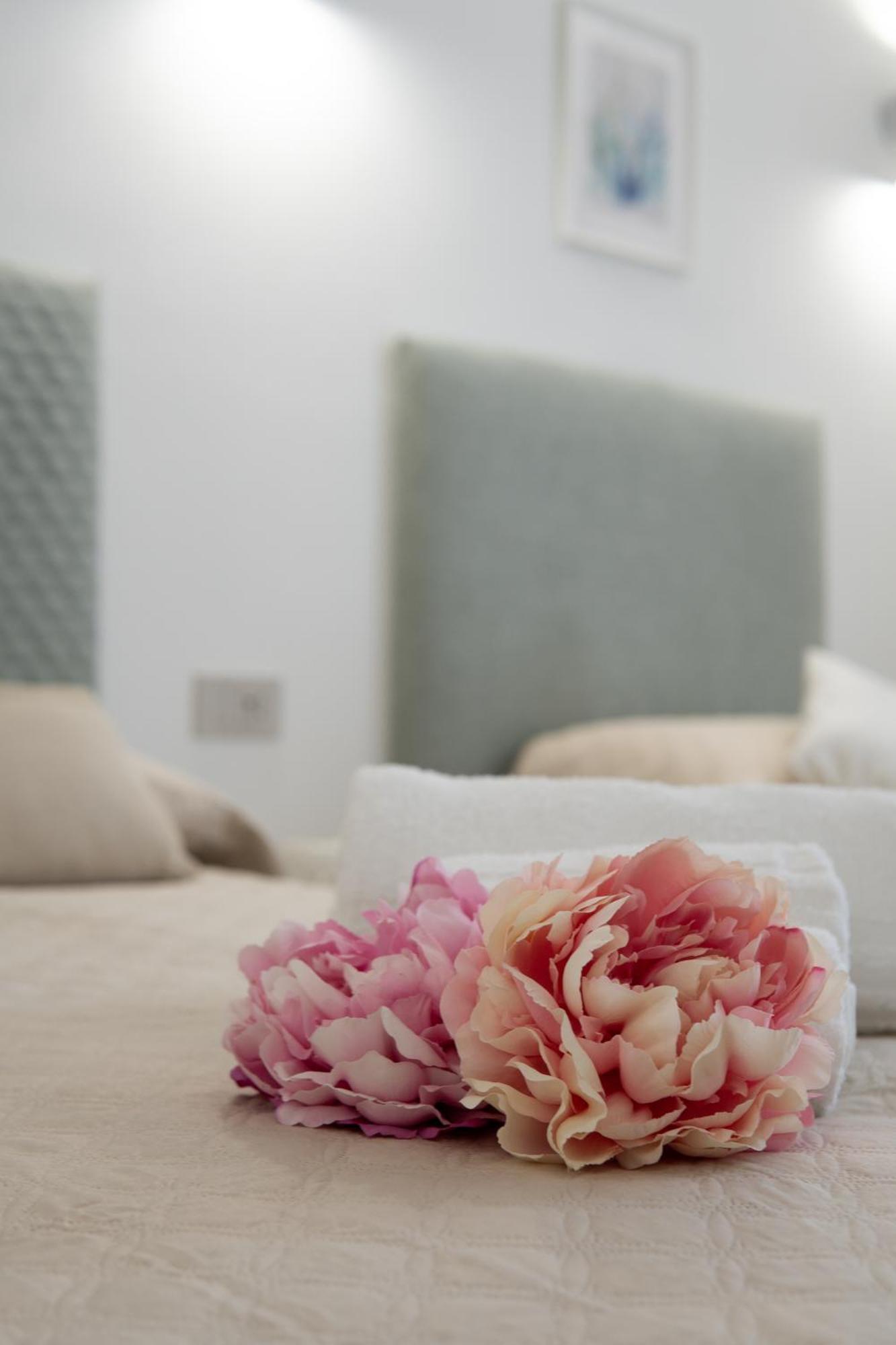 Dicciosu Guest House ブドーニ エクステリア 写真